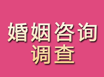 保定婚姻咨询调查